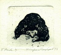 Wasbeertje, 1973 ets 3e fase